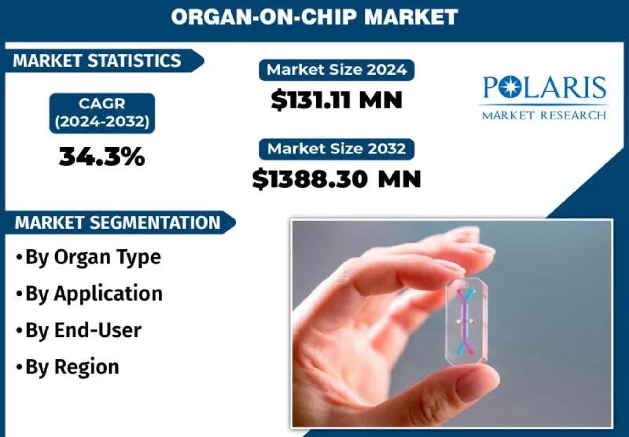 organ on chip market rapport