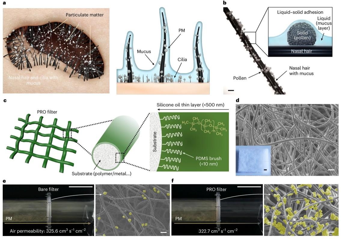 filtres poils de nez