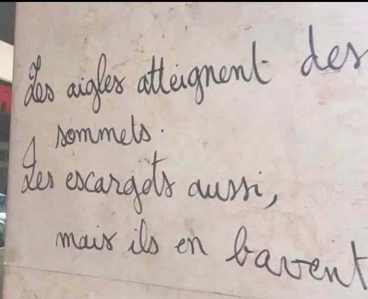 les aigles atteignent des sommets les escargots aussi