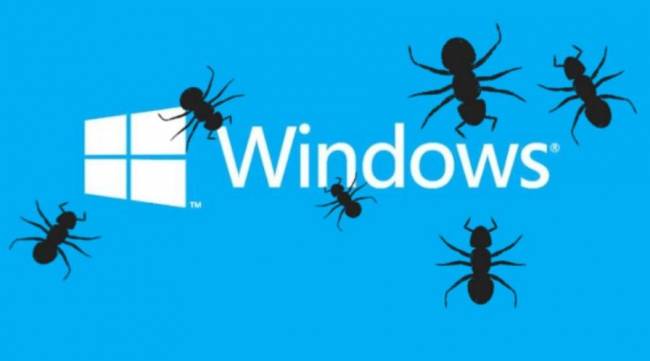 Un bug de Windows 10 2004 peut bloquer l'accès à internet