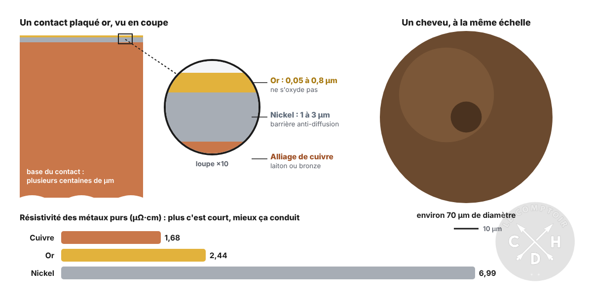 connecteur dorure coupe [cliquer pour agrandir]
