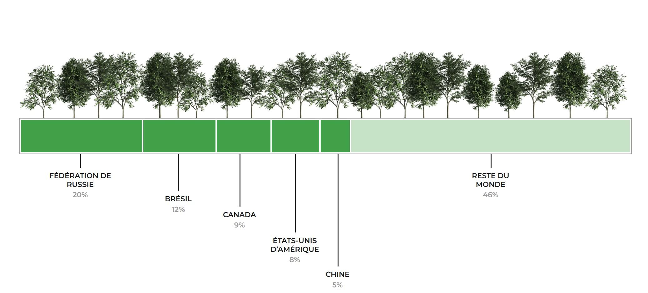 repartition forets monde