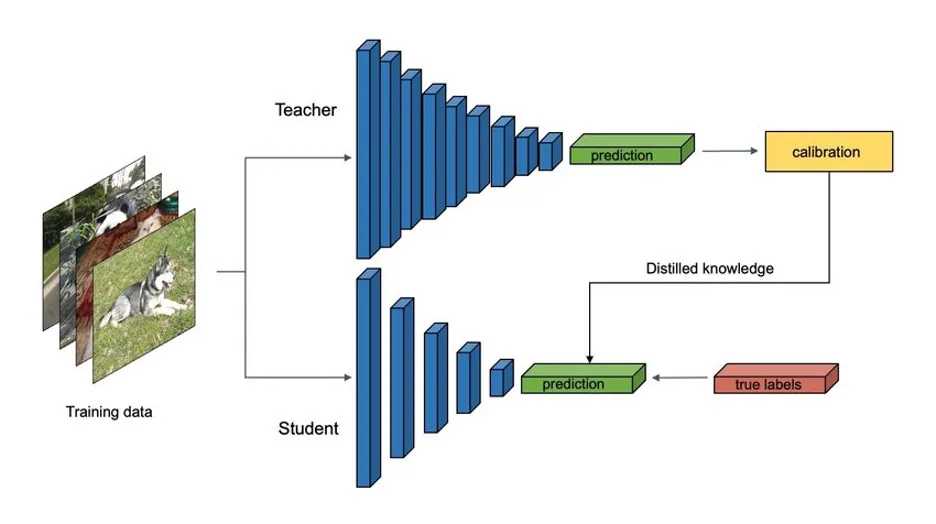 machine learning distillation