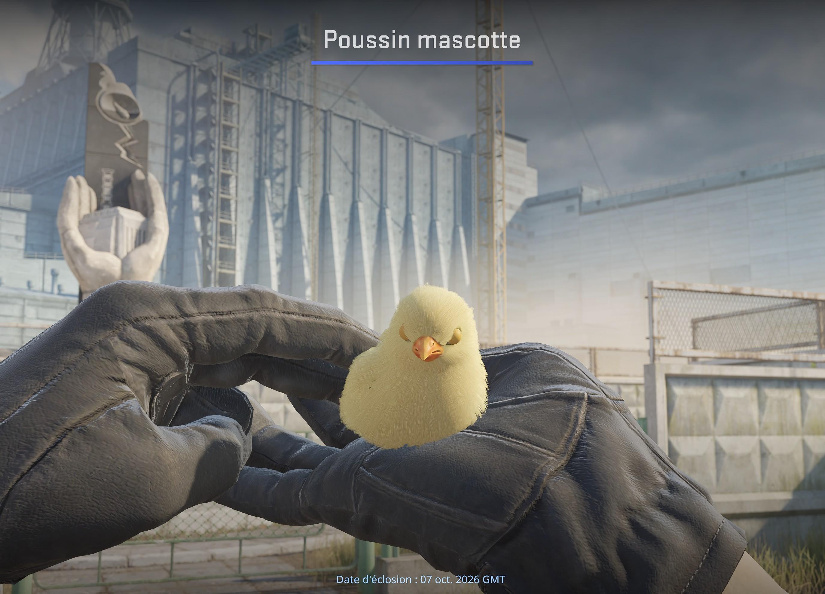 poussin mascotte steam