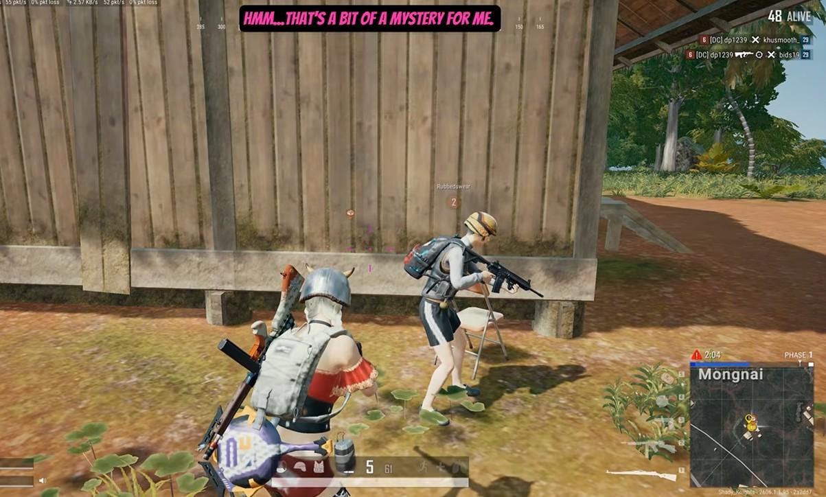pubg ally