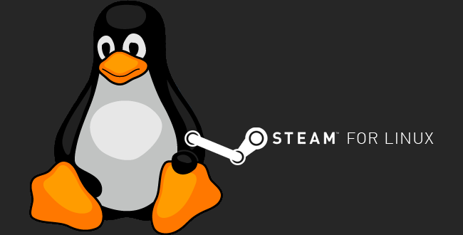 L'application Steam Link est enfin disponible sous Linux