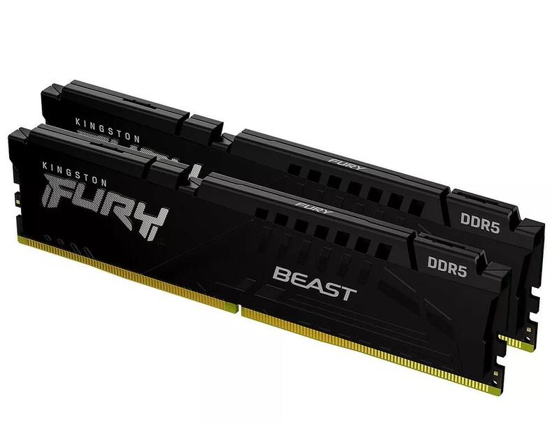 kingston fury beast