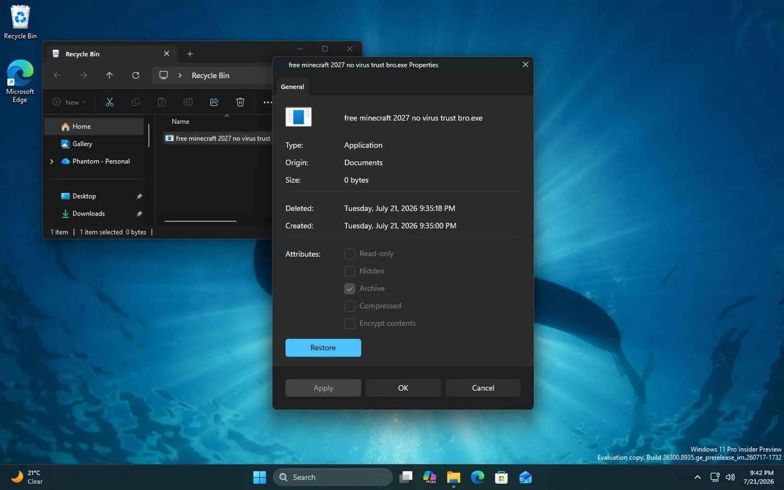 Propriétés Windows 11 [cliquer pour agrandir]
