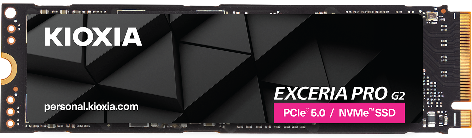 kioxia exceria pro g2
