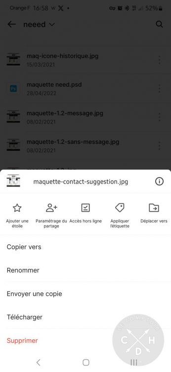 beefiles option de partage sur 1 fichier [cliquer pour agrandir]